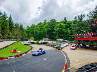 Go kart track surrounded by tall trees with go karts and small ferris wheel on raised area overlooking track