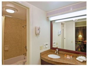 Vanity unit with sink, bathroom amenities and folded towel, wall mounted hair dryer, large wall mounted mirror with overhead strip light, doorway to bathroom and shower tub with shower curtain
