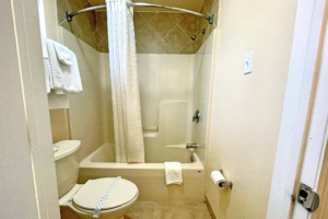 Shower tub with shower curtain, toilet, towel rail with towels, tiled flooring