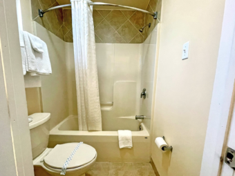 Shower tub with shower curtain, toilet, towel rail with towels, tiled flooring