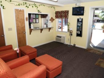 Reception, easy chairs with foot stool extentions, wall mounted flat screen tv, wall mounted guest information leaflet display and carpet flooring