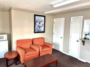 Fridge, microwave, occasional tables, easy chairs, art image, carpet flooring