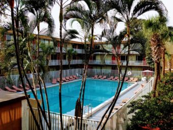 View of outdoor pool surrounded by pool loungers on a concrete poolside area through palm trees, pool overlooked and surrounded by three storey building showing room entrances