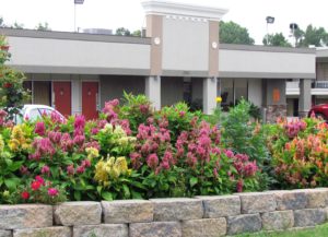 Flowering plants and shrubs behind small wall, heotel entrance in the background