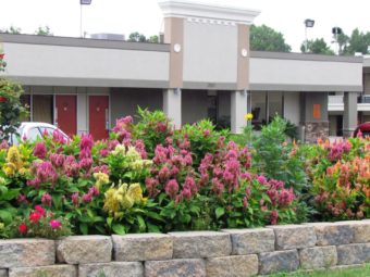 Flowering plants and shrubs behind small wall, heotel entrance in the background
