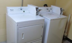 Coin operated dryer and washing machine