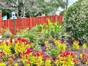 Flower beds with flowering plants and bushes.