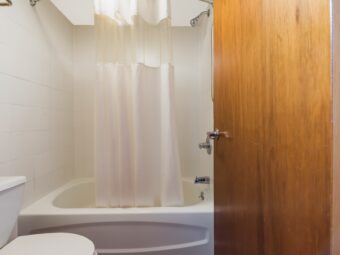 Shower tub with shower curtain, toilet