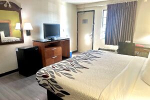 King bed, desk with telephone and chair, mirror, fridge, wooden unit with TV, laminate flooring