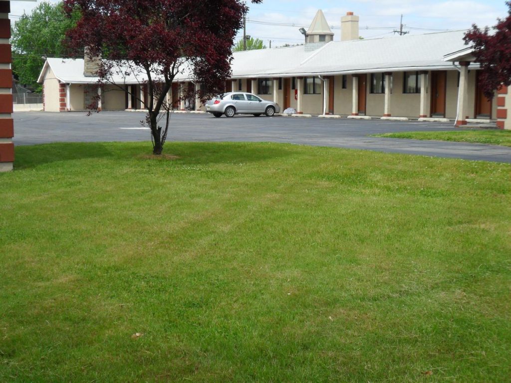 Side view single storey building, grassy areas, small trees and parking spaces