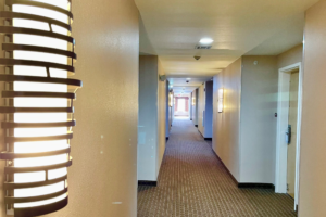 Interior corridor leading to room entrance doors, carpet flooring