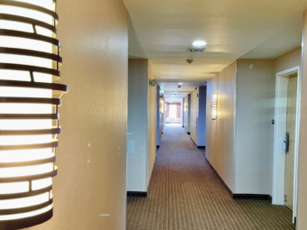Interior corridor leading to room entrance doors, carpet flooring