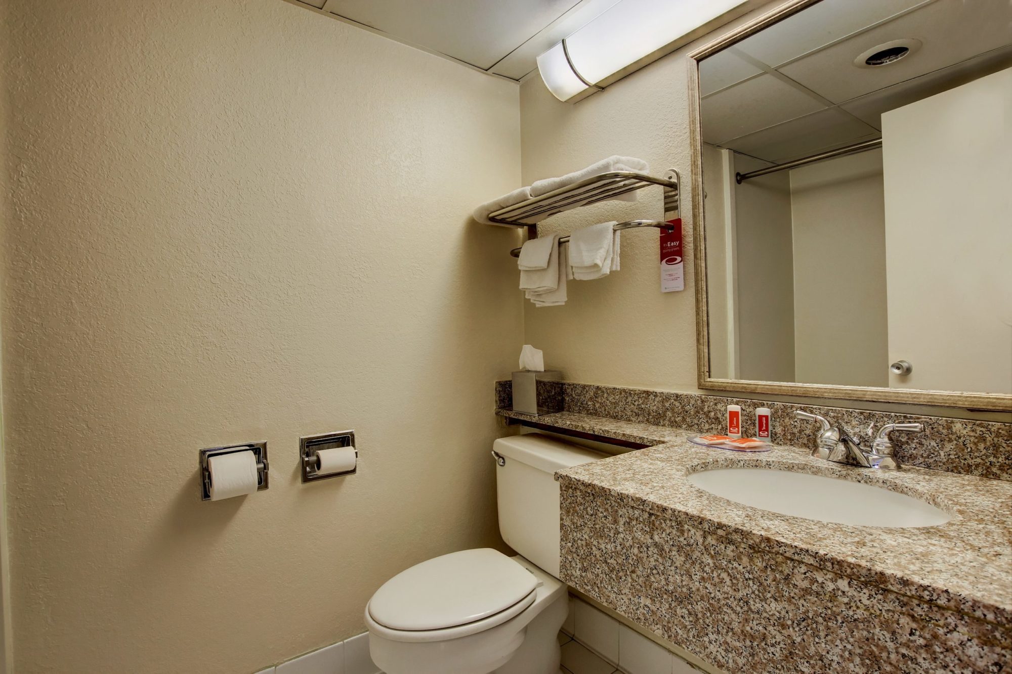vanity unit with sink, bathoom amenities, large wall mounted mirror and wall mounted towel rail with towels