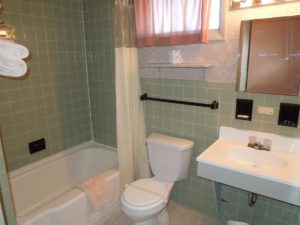 Shower tub, with shower curtain and bath mat, toilet, wall mounted towel rail, wall mounted mirror, wall mounted sink, tiled flooring