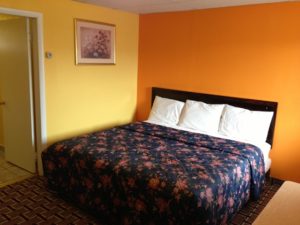 King bed, wall mounted art, carpet flooring