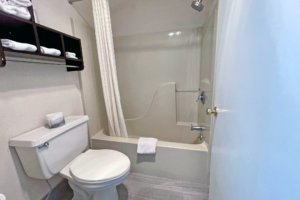 Shower tub with shower curtain, bath mat, toilet, towel storage with towels, tiled flooring