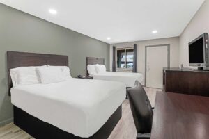 Two double beds, night stand with telephone, desk with chair, wooden unit with TV, laminate flooring