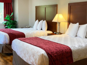Two queen beds, night stand with telephone, imitation plant, night stand with bedside lamp and clock, laminate flooring