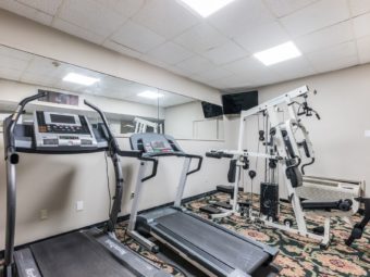 Treadmills, weight machine, mirrors, carpet flooring