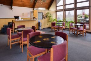 Guest check in desk, tables and chairs, potted plants, full length windows, carpet flooring