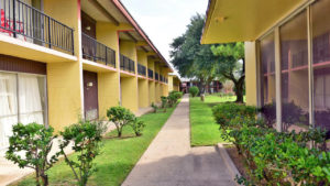 Two story building with balconies on upper level, concrete path, grassy areas with small bushes and trees