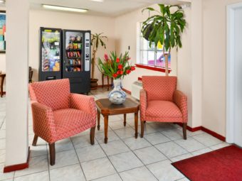 Easy chairs, occasional table with vase with flowers, potted plants, soft drinks and snacks vending machines, wall mounted art, tiled flooring