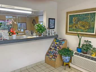 Guest check in desk, art images, guest information display leaflets, potted plants, tiled flooring