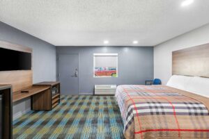 King bed, chair, wooden unit with microwave, TV and fridge, carpet flooring