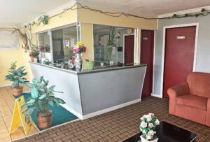 Guest check in desk, several potted plants, easy chair, tiled and carpet flooring