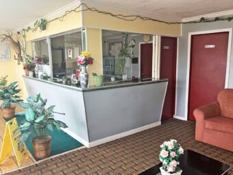 Guest check in desk, several potted plants, easy chair, tiled and carpet flooring