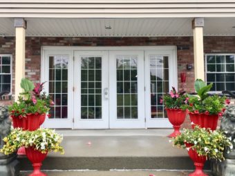 Double doors, planters with flowers and shrubs, lion statues, porst area