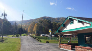 Hotel entrance driveway, guest check in entrance, shrubs and grassy areas