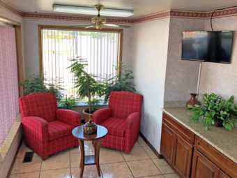 Easy chairs, occasional table, potted plants, wall mounted flat screen tv, counter top with plants, tiled flooring