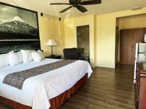 king bed, night stand with bedside lamp, easy chair, wooden drawer unit, ceiling fan, closet, laminate flooring