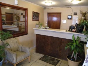 Reception desk, decorative green plants in pots, easy chair and tiled flooring