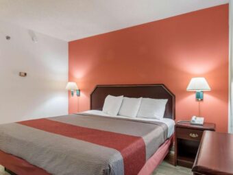 king bed, wall bedside lights, night stand with telephone, laminate flooring
