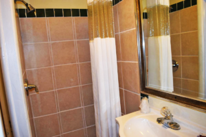 Shower with shower curtain, vanity unit, mirror