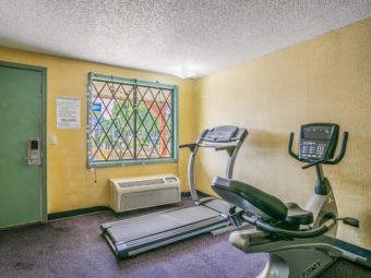 Fitness machines, carpet flooring