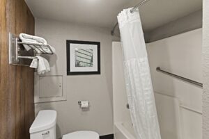 Hanging rail and shelf with towels, shower tub with shower curtain and grab rail, art image