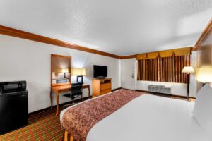 King bed, night stand with lamp, fridge with microwave, desk with office chair and lamp, mirror, wooden drawer unit with TV, carpet flooring