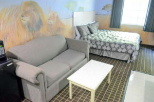 Wall murals, fridge with micrwave, sofa, coffee table, king bed, carpet flooring