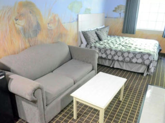 Wall murals, fridge with micrwave, sofa, coffee table, king bed, carpet flooring