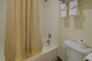 Shower tub with shower curtain, hanging rail with towels, toilet