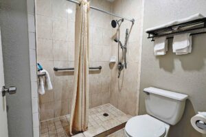 Walk in shower with shower curtain, grab rails, towel rail with towel, toilet, shelf and hanging rail with towels